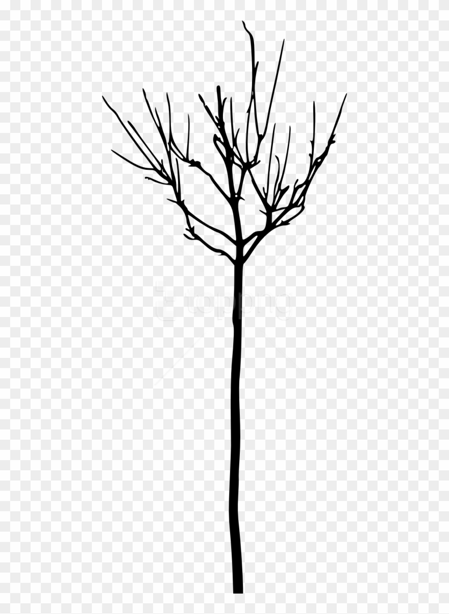 Free Png Simple Bare Tree Silhouette Png Images Transparent - Illustration Clipart