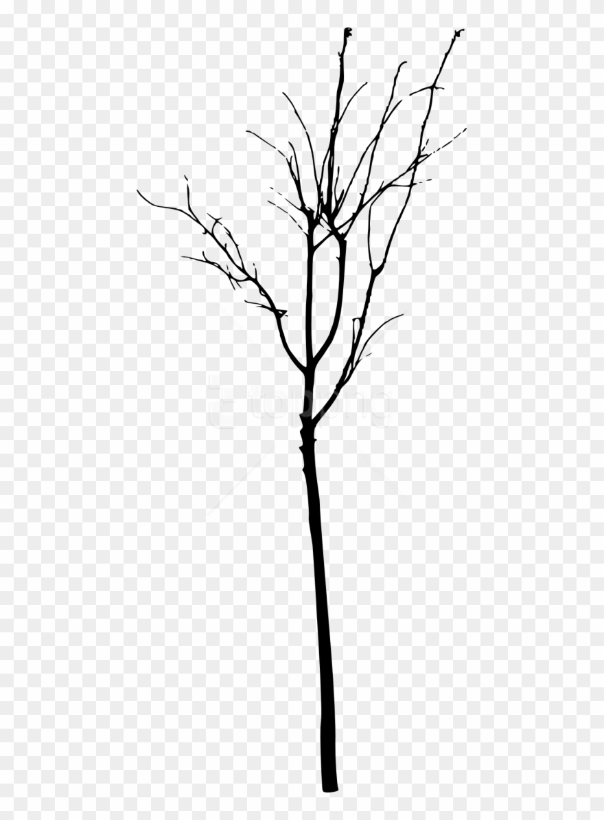 Free Simple Bare Tree Silhouette Free Images Transparent - Simple Bare Tree Silhouette Clipart