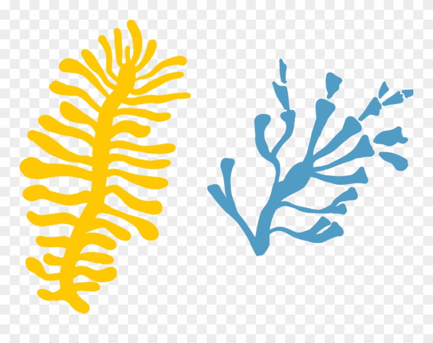 Coral Decoration - Illustration Clipart