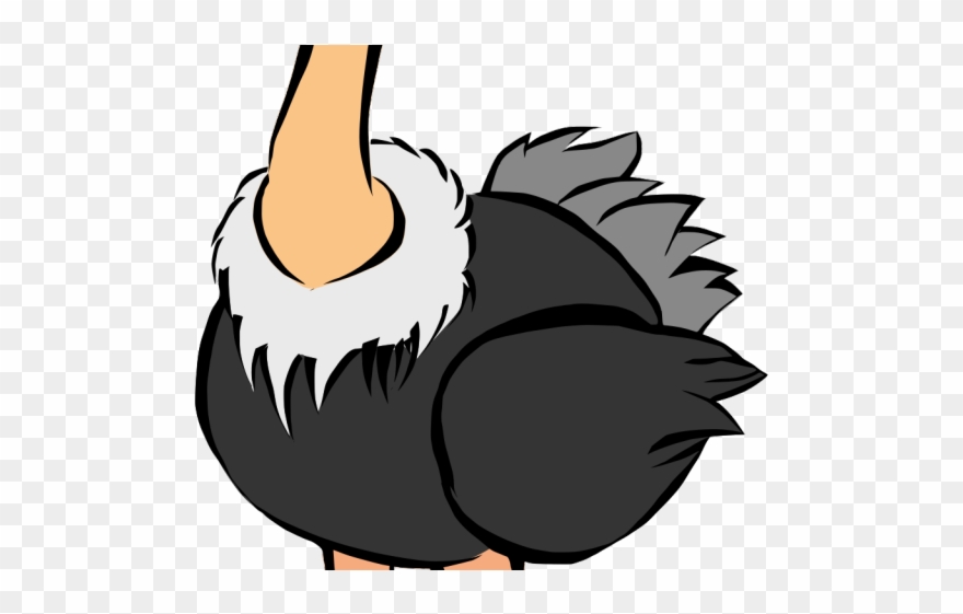 Ostrich Clipart Realistic - Ostrich Clipart - Png Download