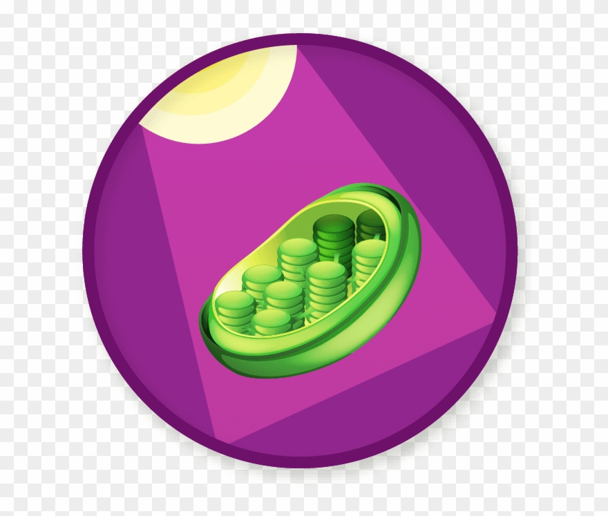 Win A Badge - Circle Clipart