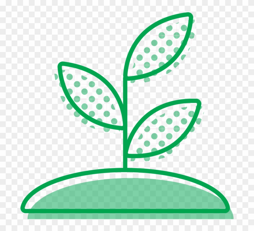 Seedling Clipart