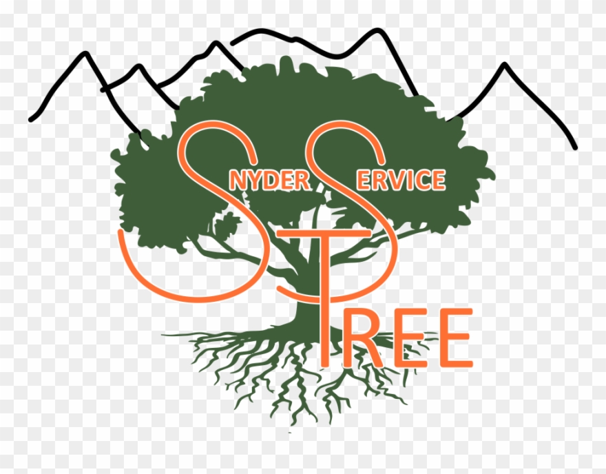 Family Reunion Tree With Roots Clipart