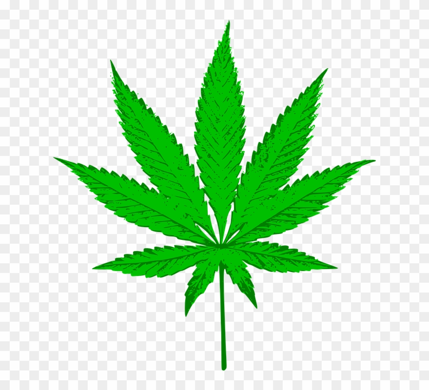 Canada's New Marijuana Laws Don't Make Canadian Marijuana - Cannabis Symbol Clipart