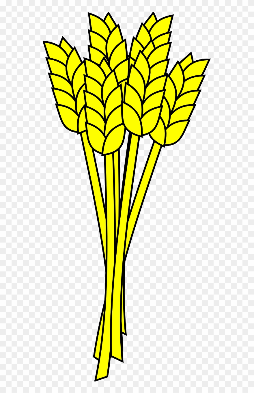 Wheat Grain Agriculture - Animated Picture Of Wheat Clipart
