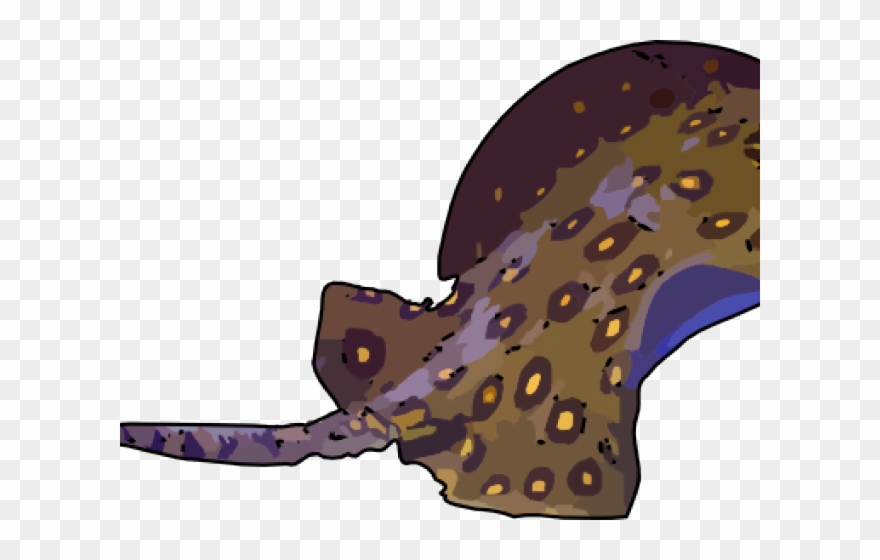 Freshwater Whipray Clipart