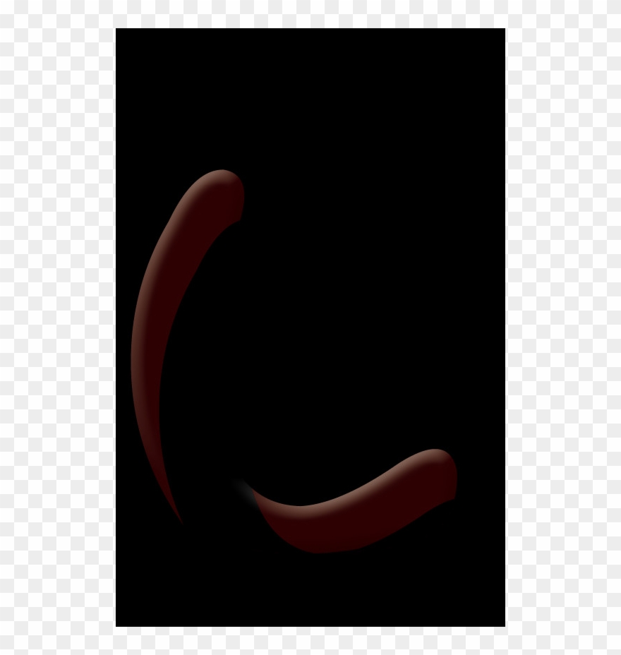 Still Life Photography Clipart