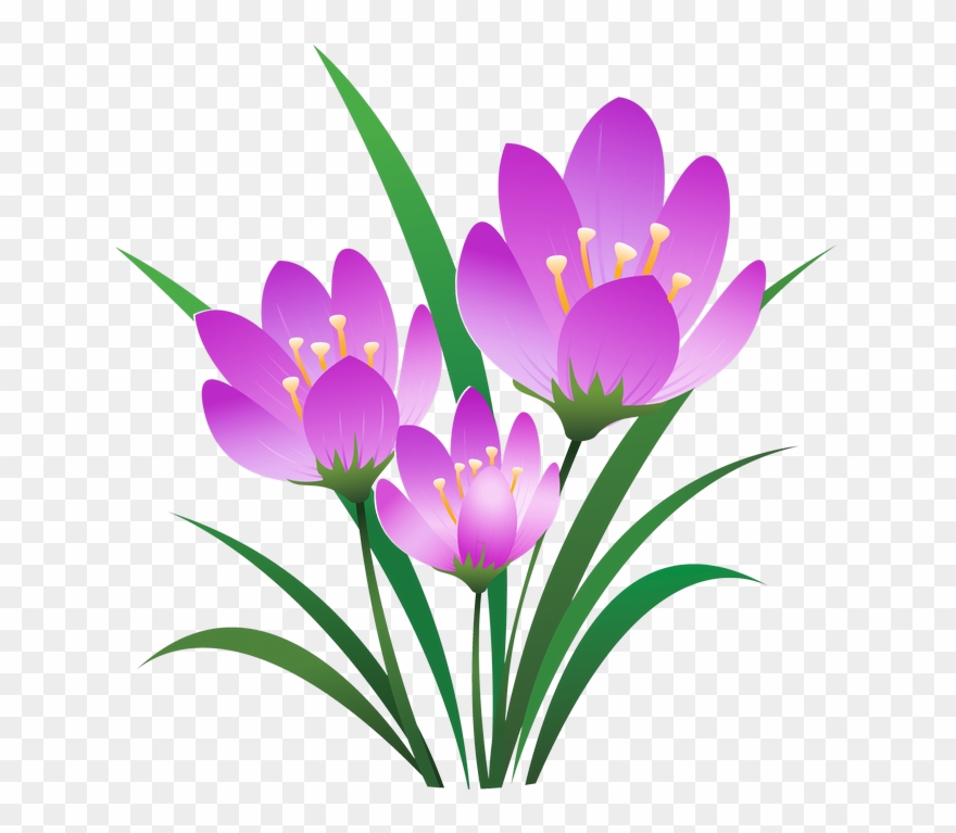 Color Mixing, Trees To Plant, Art Pictures, - Eid Sms In Bangla Clipart