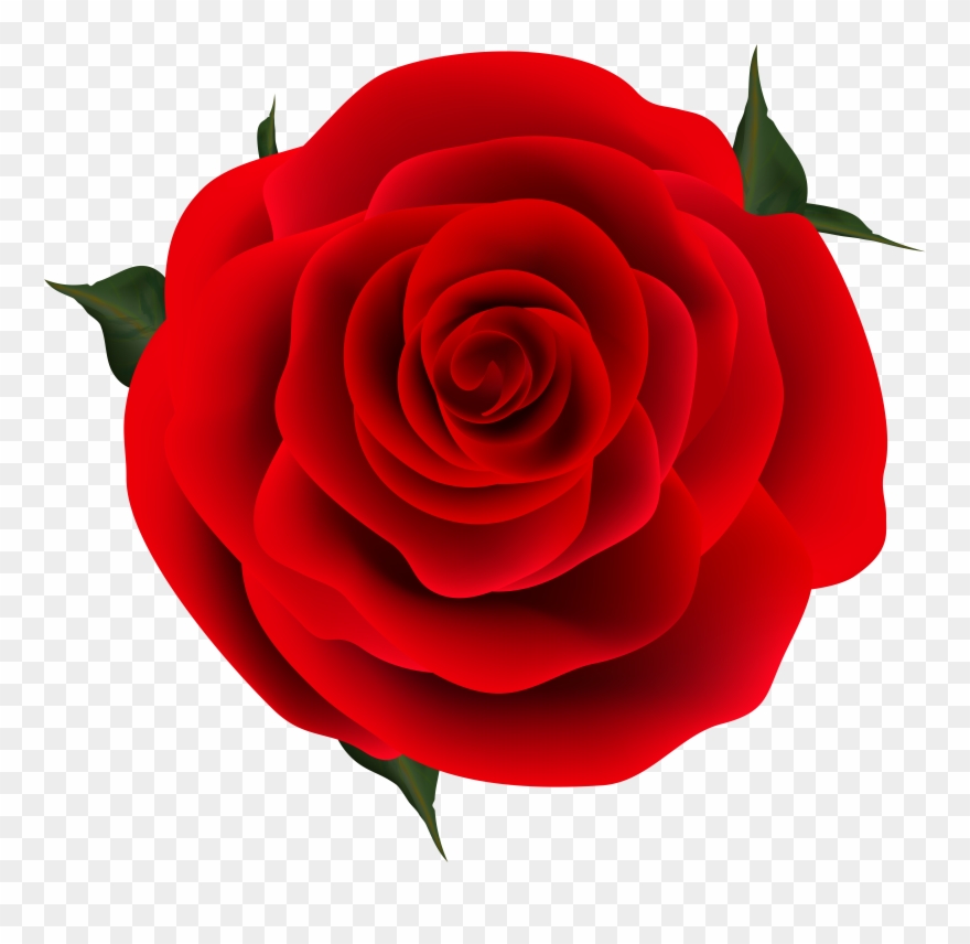 View Full Size Clipart