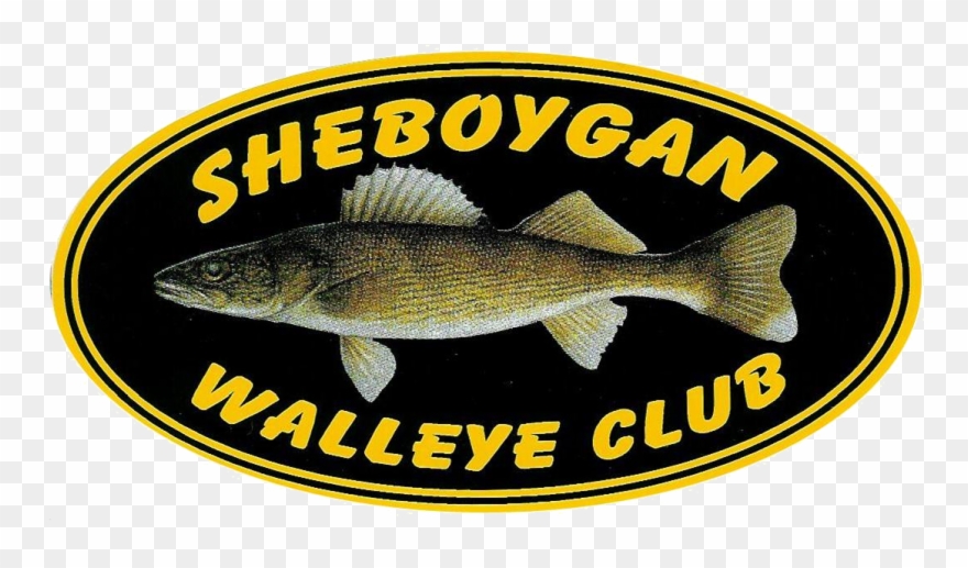 Sheboygan Walleye Clubsheboygan Walleye Club - Sea Bass Clipart