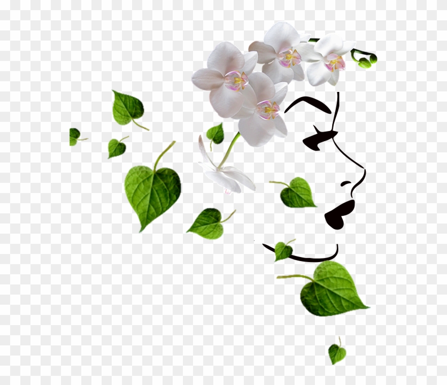 Portable Network Graphics Clipart