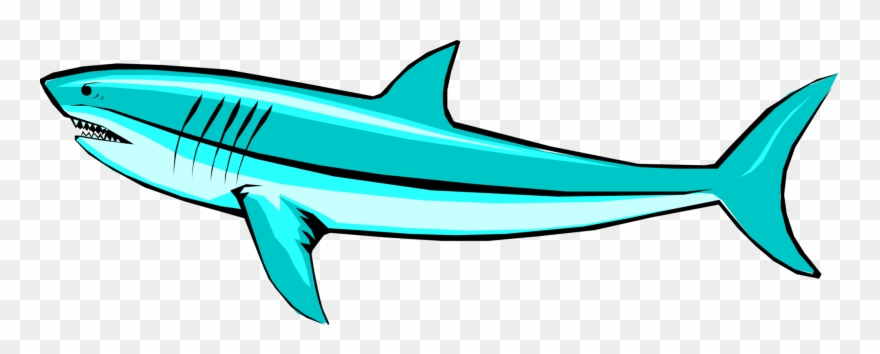 1960 X 700 1 - Shark Clipart