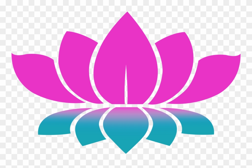 3508 X 2480 11 - Lotus Png Clipart
