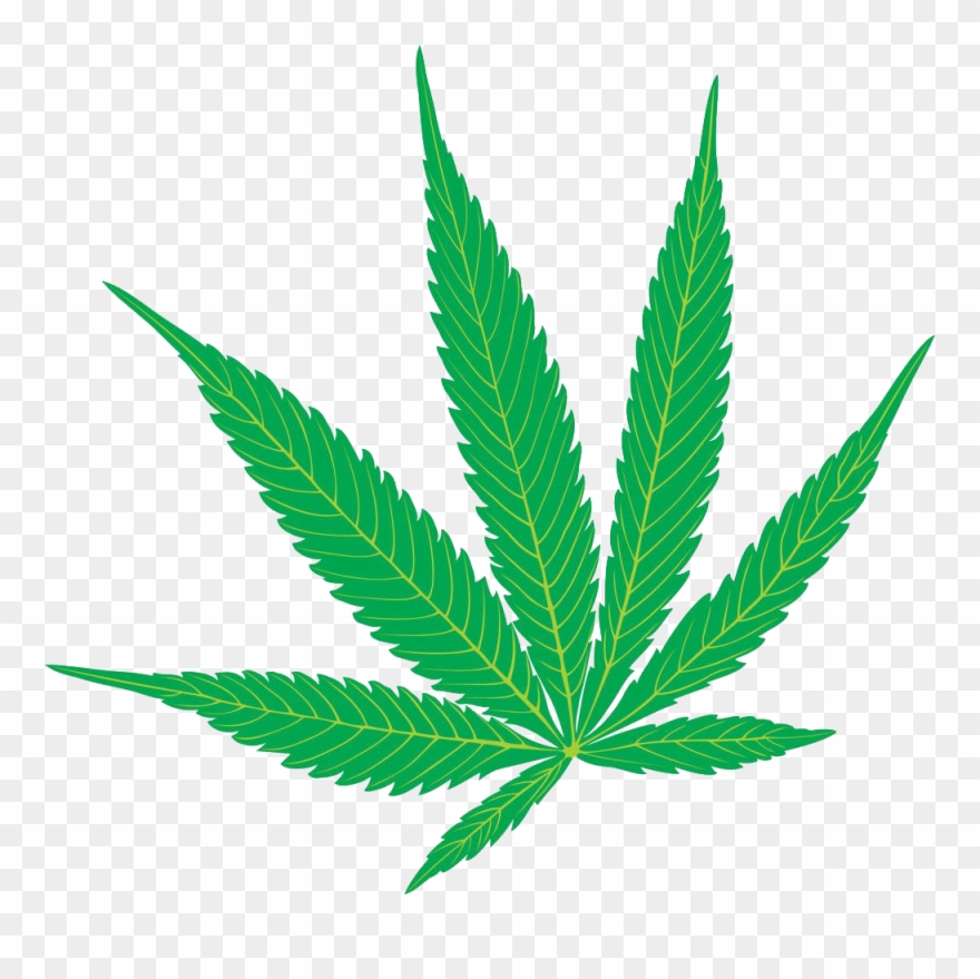Cannabis Sativa Marijuana Hemp Clip Art - Cannabis Leaf - Png Download