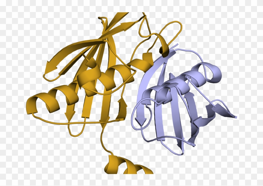 Biosynthesis Of Aryl Polyene Protective Pigments Elucidated - Illustration Clipart