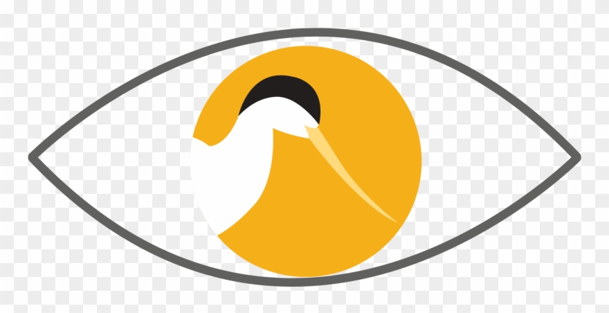 From The Inception Of The Avocet Dsp We Wanted To Integrate - Circle Clipart