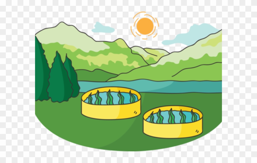 Algae Oil Png Clipart