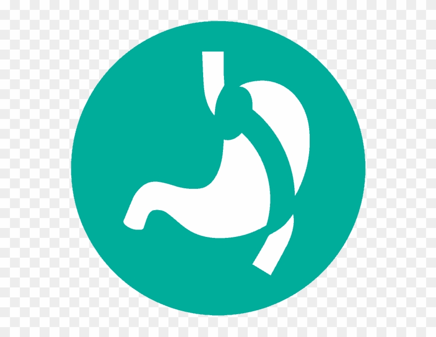 Bariatric Surgery Roux En Y Gastric Bypass Las Vegas - Bariatric Surgery Icon Clipart