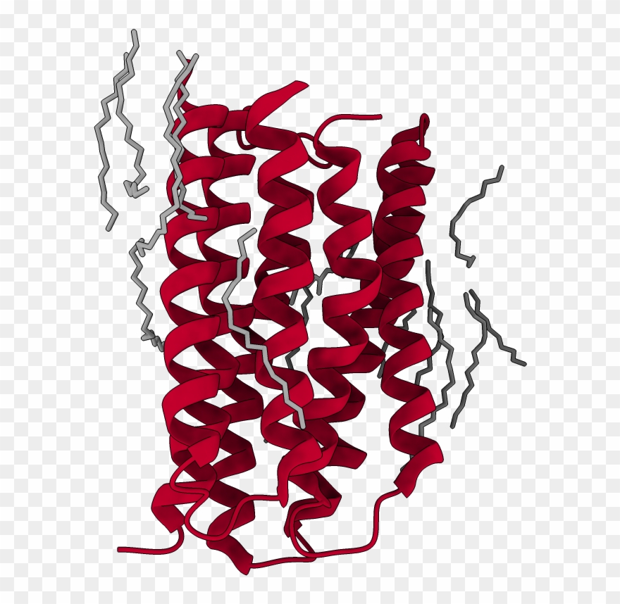 Chains Colored In Rainbow - Illustration Clipart