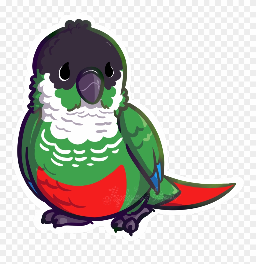 Hydymae - Transparent Green Cheek Conure Clipart
