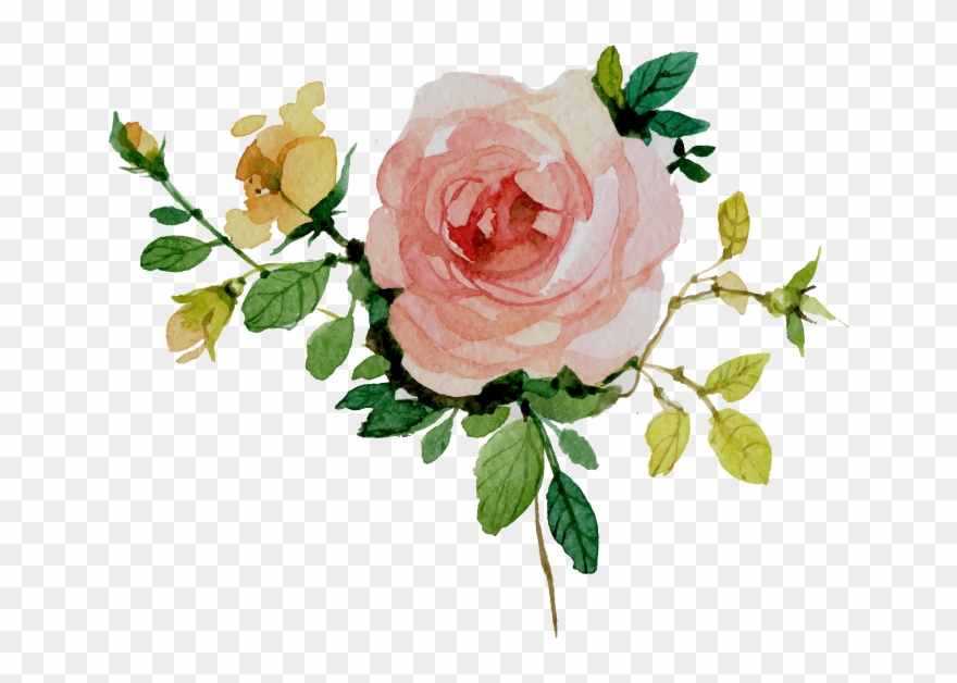 Vector Floral Flower Watercolor Clipart