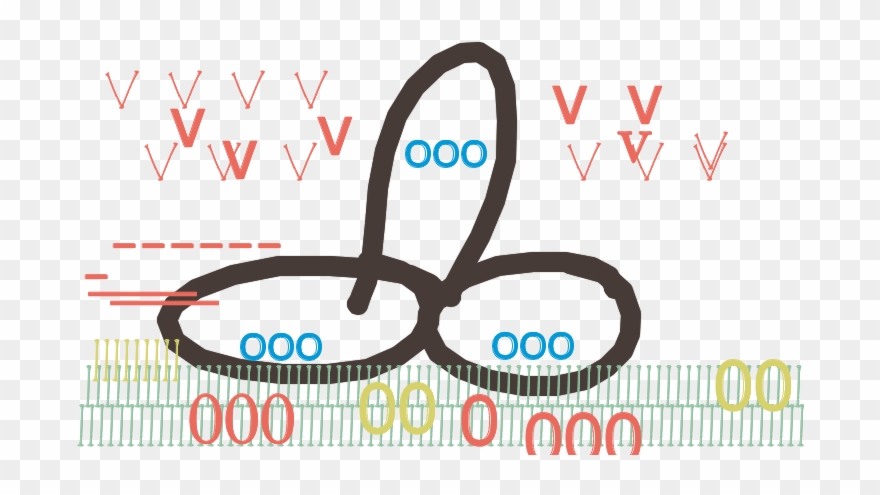 February 01, 2015 - Circle Clipart