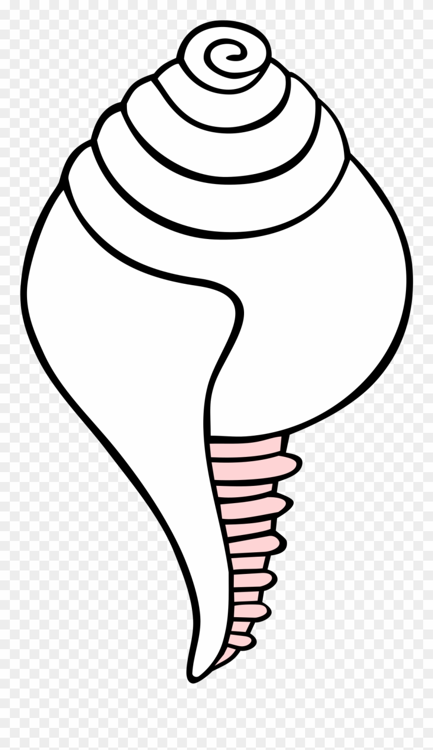 The Conch In Buddhism Ashtamangala Represent The Melodious, - Outline Picture Of Conch Clipart