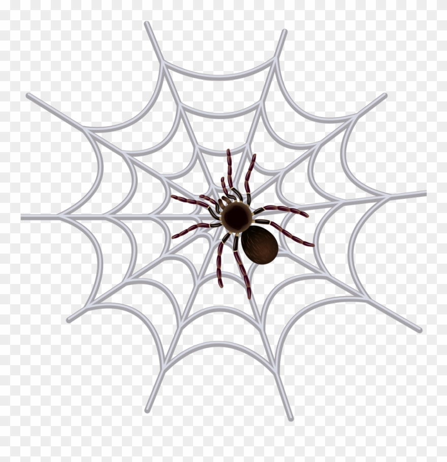 Transparent Png Spider Web Clipart