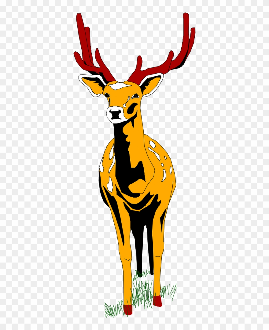 Stag Vector Wildlife - Deer Front Png Clipart