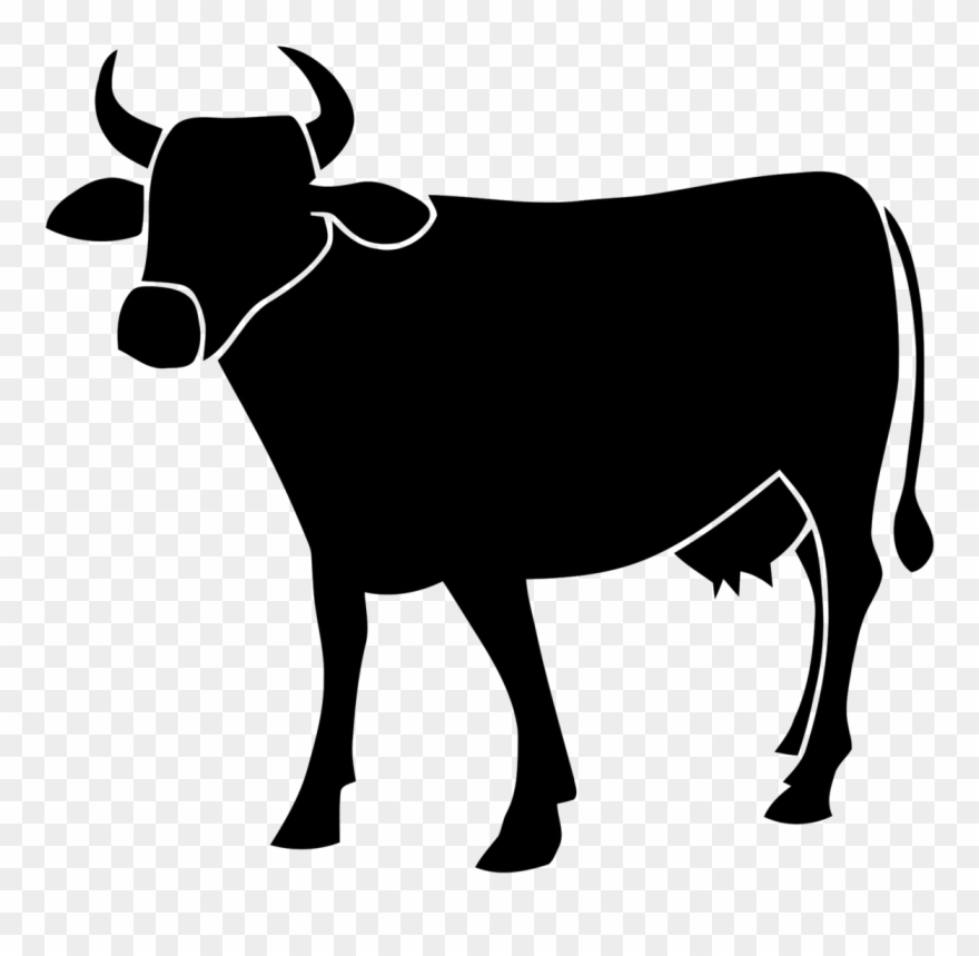 The May 2014 National Geographic Features An Article - Cattle Silhouette Png Clipart