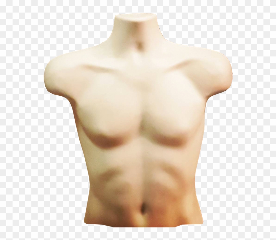 Torso Png Transparent Background - Pound Of Flesh Torso Clipart