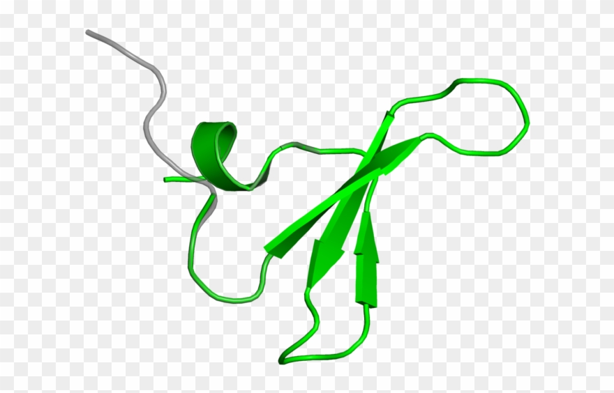 <div Class='caption-body'>1 Copy Of Cath Domain < Clipart