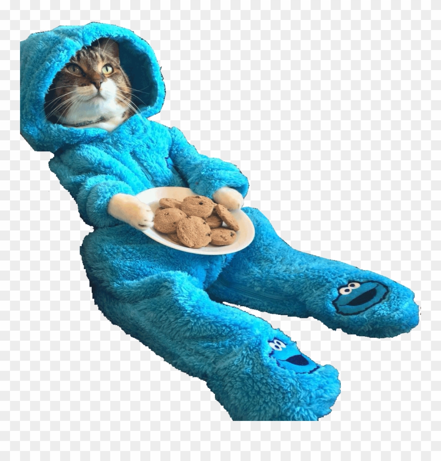 Cookie Monster Cat - Cat In Cookie Monster Pjs Clipart