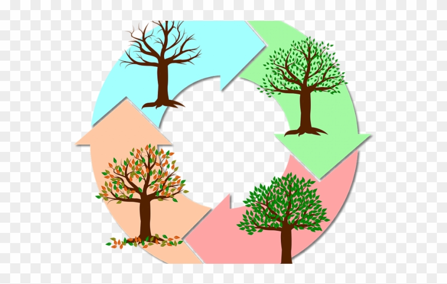 Refund Clipart Old Money - Vasara Ziema Ruduo Pavasaris - Png Download