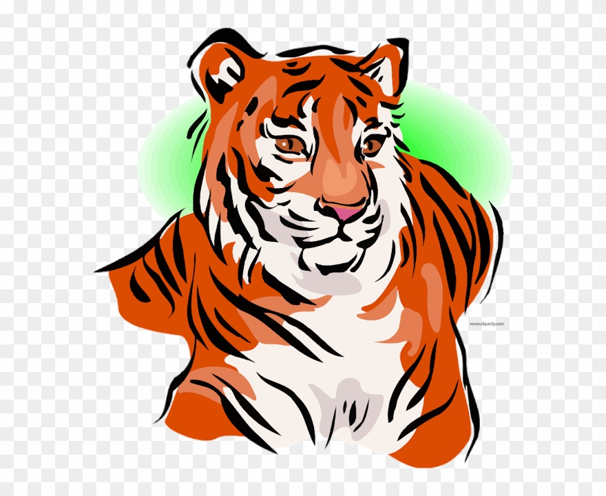 Cartoon Tiger, Clip Art, Illustrations, Pictures - Tiger Clipart Free - Png Download