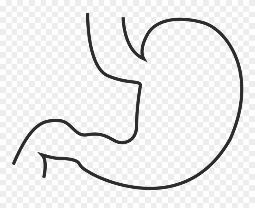 Bacteria Drawing Line - Acupuntura Para Gastritis Clipart