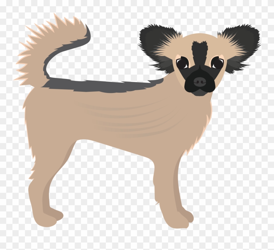 Long Hair Chihuahua Png - Small Greek Domestic Dog Clipart
