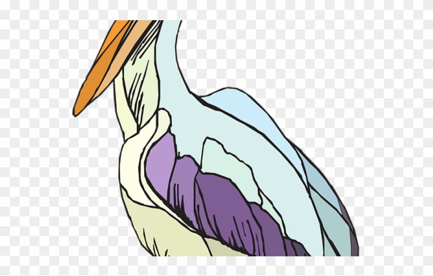 Sea Bird Clipart Colorful - Cartoon - Png Download