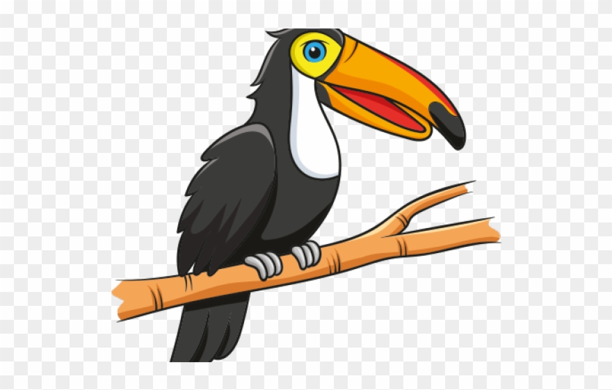 Toucan Clipart Real - Tukan Png Transparent Png