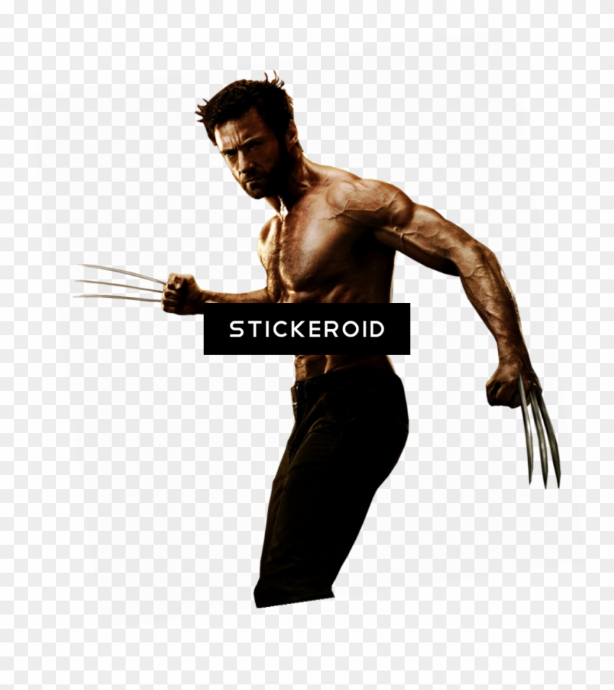 972 X 1048 3 - Wolverine Png Clipart