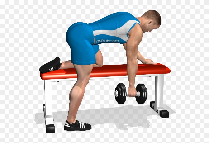 One Arm Dumbbell On Flat Bench Involved - Dumbbell Row Png Clipart