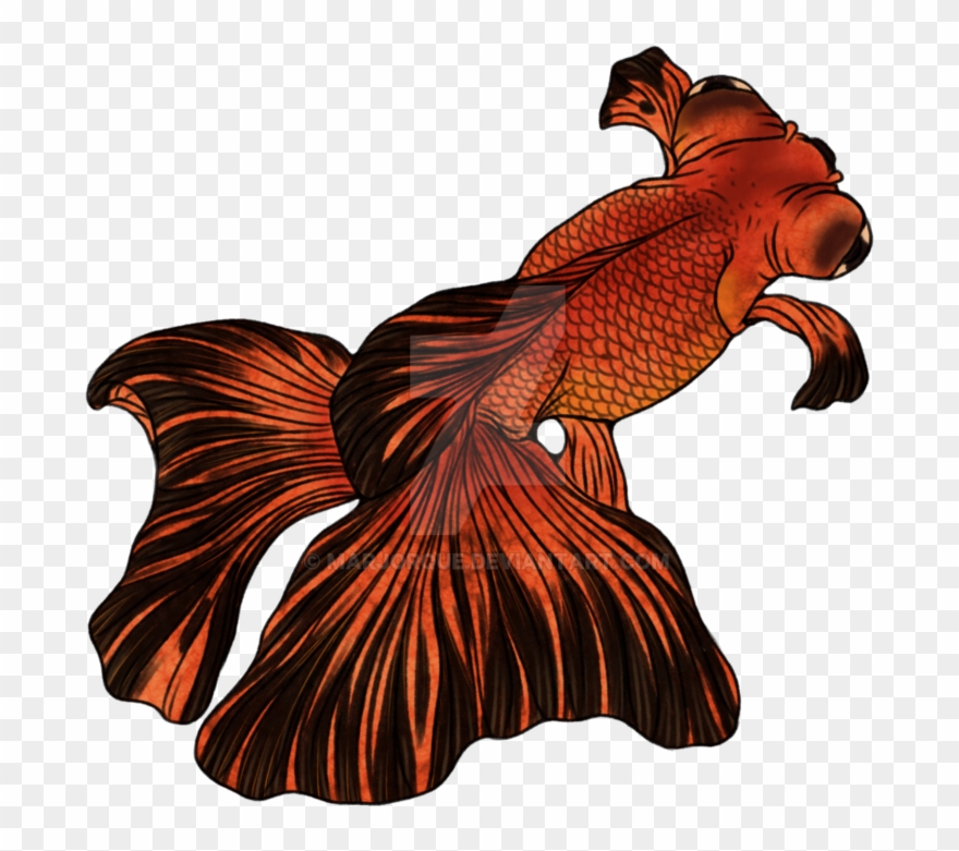 Telescope For Sale - Illustration Clipart