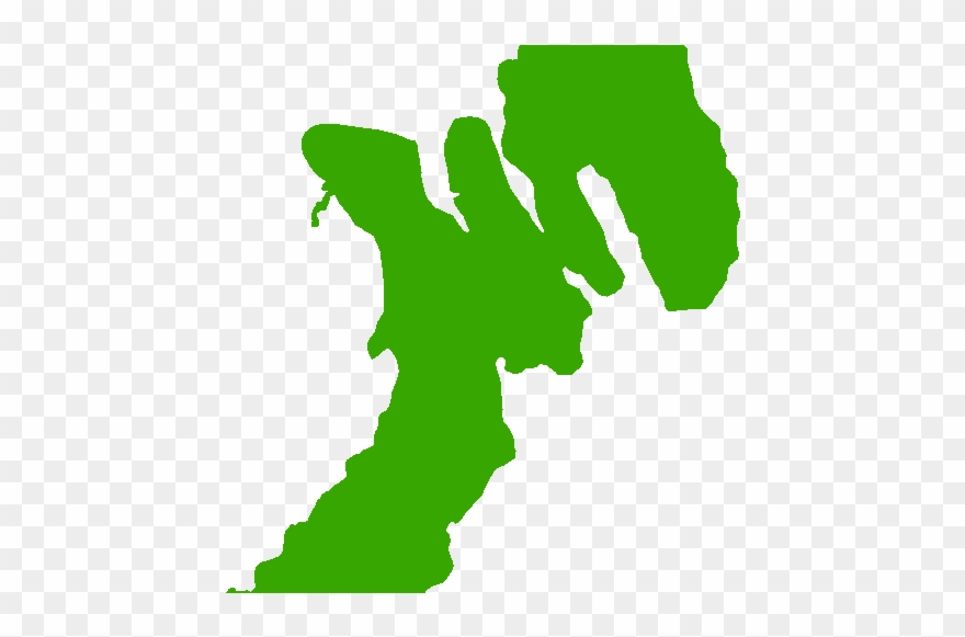 Eagle Audubon Important Bird - Silhouette Clipart