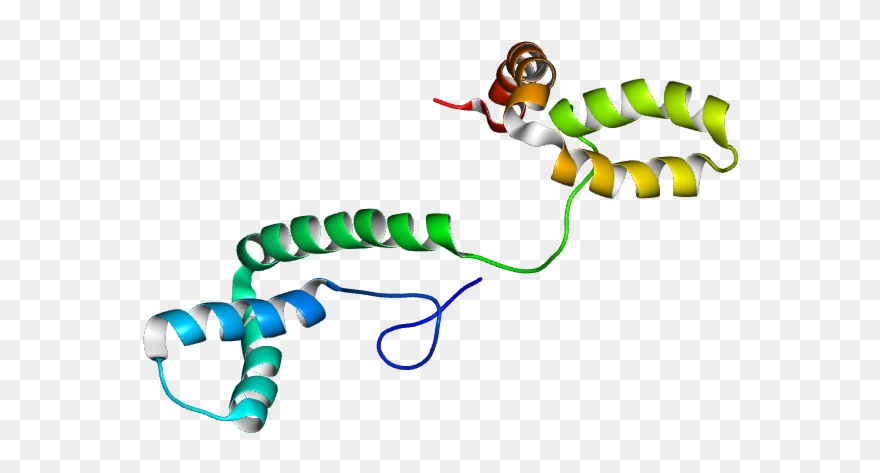 Database Information - Cartoon Clipart