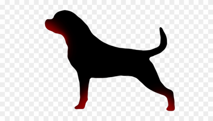 Dog Catches Something Clipart