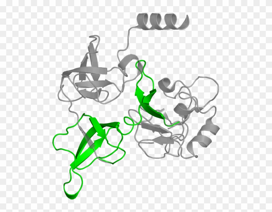 <div Class='caption-body'>1 Copy Of Pfam Domain < - Illustration Clipart