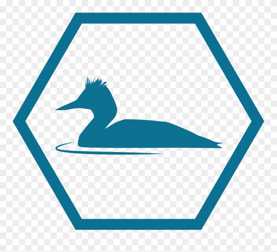 A Safe Haven For Birds - Hexagon Svg Clipart