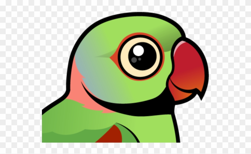Parakeet Clipart Pink Parrot - Cartoon - Png Download
