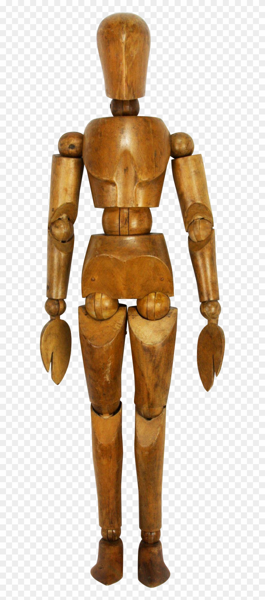 Model Clipart Male Mannequin - Png Download