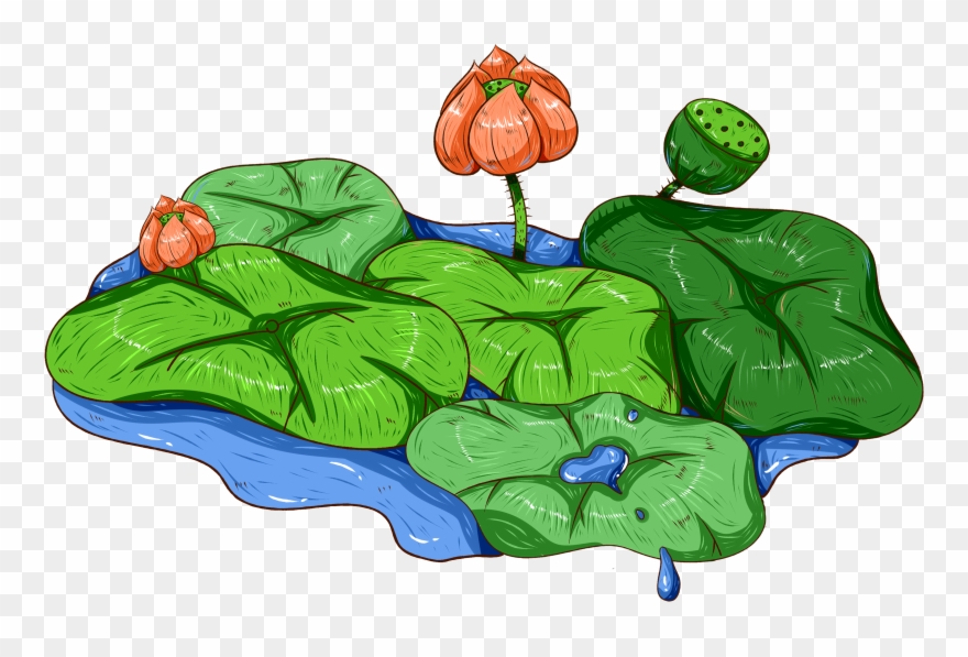 Original Hand Painted Showerhead Aquatic Plant Png - 蓮蓬頭 蓮花 Clipart